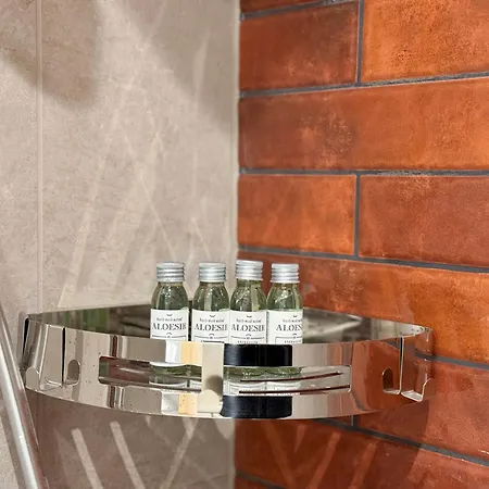 Cocon Terracotta - Netflix Et Parking Apartman Scheibenhard