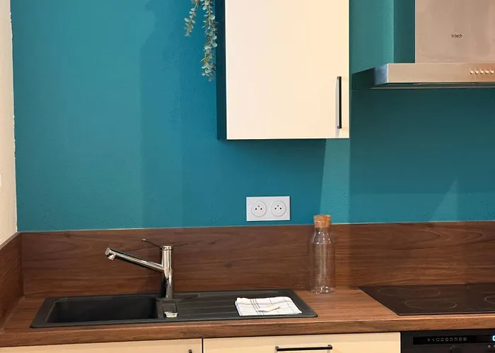 Apartman Cocon Terracotta - Netflix Et Parking Scheibenhard